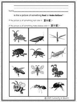 Real vs Make Believe, Nonfiction vs Fiction Insects Charlie the Caterpillar