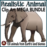 Realistic Animal Clip Art MEGA-BUNDLE