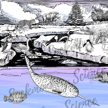 Realistic Arctic Animal Clipart: Tundra Ecosystem Line Art {Black and White}