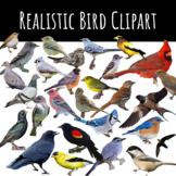 Realistic Bird Clipart