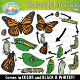 Realistic Butterfly Life Cycle Clipart {Zip-A-Dee-Doo-Dah 