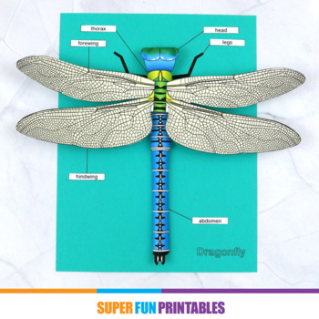 Preview of Realistic Dragonfly 3D paper craft