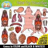 Realistic Fetal Pig Dissection Clipart Set {Zip-A-Dee-Doo-