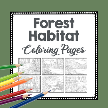 Preview of Realistic Forest Habitat Coloring Pages | Woodlands | Nature Biome Drawing