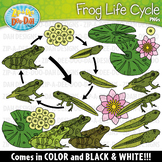 Realistic Frog Life Cycle Clipart {Zip-A-Dee-Doo-Dah Designs}