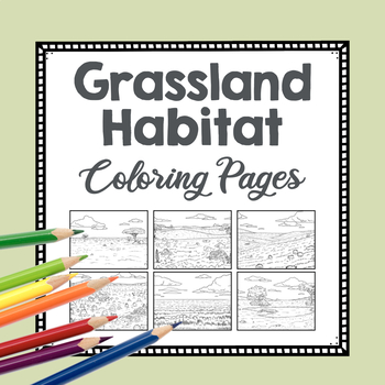 Preview of Realistic Grassland Habitat Coloring Pages | Savannah | Nature Biome Drawing