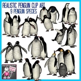 Realistic Penguins Clip Art Images  - 9 Penguin Species