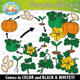 Realistic Pumpkin Life Cycle Clipart {Zip-A-Dee-Doo-Dah Designs}