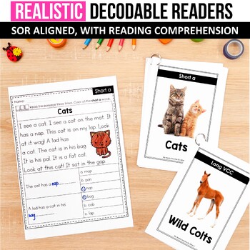 Preview of Realistic Reading Comprehension Decodable Passages Science of Reading Decodables