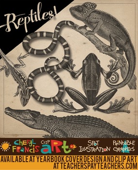 Preview of Realistic Reptiles Black and White Engraved Clip Art