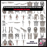 Realistic Skeleton and Organs Parts of the Body Clip Art