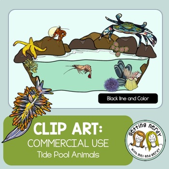 Preview of Ecosystem - Tide Pool Clip Art