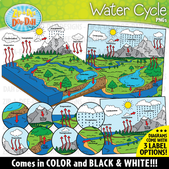 Preview of Realistic Water Cycle Clipart Set {Zip-A-Dee-Doo-Dah Designs}