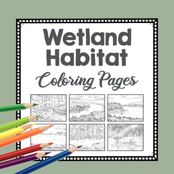 Preview of Realistic Wetlands Habitat Coloring Pages | Swamp | Nature Biome Drawing