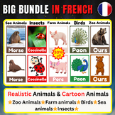 Realistic and Cartoon Animals. Bundle Vocabulary Flashcard