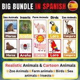 Realistic and Cartoon Animals. Bundle Vocabulary Flashcard