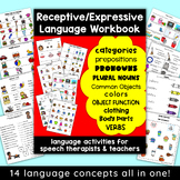 Speech Therapy Activities Receptive Expressive Language Ac