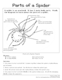 Recipe for Reading Comprehension - Parts of a Spider