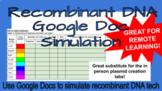 Recombinant DNA (Plasmids) Creation Using Google Docs "Lab"