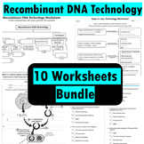 Recombinant DNA Technology 10 Worksheets with answer key