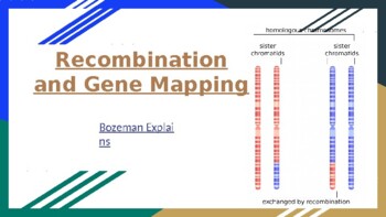 Recombination Frequency and Gene Mapping - AP Biology | TpT