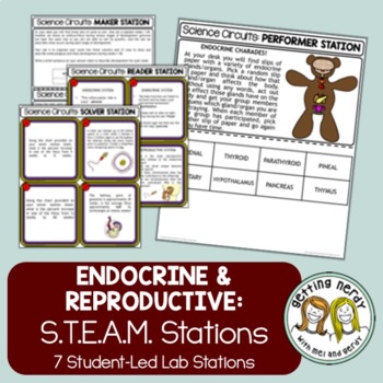 Preview of Reproductive & Endocrine Systems - Science Centers / Lab Stations