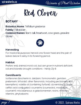 Preview of Red Clover ~ Trifolium pratense Herbal Mini-Book (Monograph)