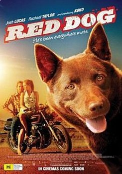 Preview of Red Dog - Film Study