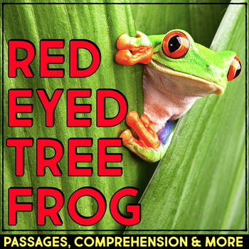 Preview of Red Eyed Tree Frog Reading Passage & Comprehension Activities - Rainforest