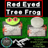 Red Eyed Tree Frog Resources