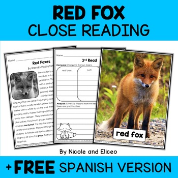 Preview of Red Fox Close Reading Comprehension Passage Activities + FREE Spanish