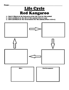 Kangaroo Life Cycle Word Mat - Primary Resource - Twinkl