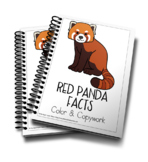 Red Panda Color and Copywork