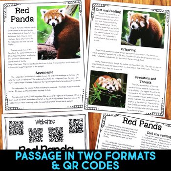 Red Panda Informational Article, Website Research & Comprehension