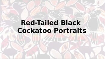 Preview of Red-Tailed Black Cockatoo Portraits