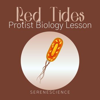 Preview of Red Tide Protists Biology Lesson and Worksheet
