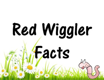 Preview of Red Wiggler Facts + Red Wiggler Project + Composting Project