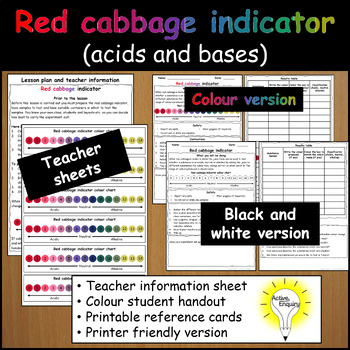Preview of Red cabbage indicator (acids and bases/alkalis)