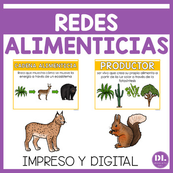 Preview of Red y Cadena Alimenticia | Food Chain and Web Spanish