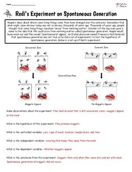 redi's experiment conclusion