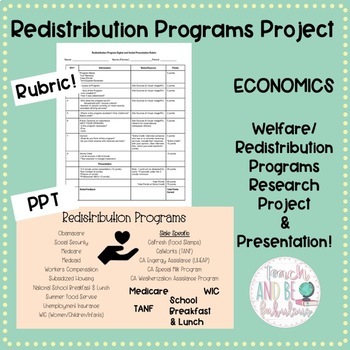 Preview of Redistribution/Welfare Programs Project