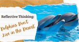 Reflective Thinking: Dolphins Don't Live in the Desert