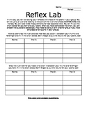 Reflex Lab