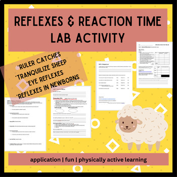 Preview of Reflexes & Reaction Time Lab Activities- Nervous System, Anat & Phys, no key