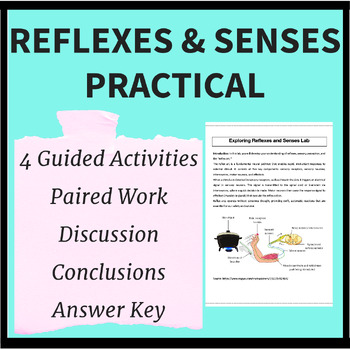 Preview of Reflexes & Senses Lab Class