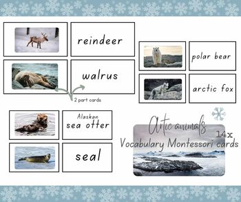 Preview of Reggio inspired ARTIC ANIMAL FLASHCARDS - WINTER|vocabulary|Montessori