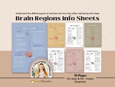 Regions of The Brain