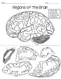 Regions of the Brain Puzzle #fssparklers23