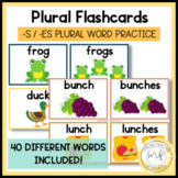 Singular and Plural Noun Flashcards