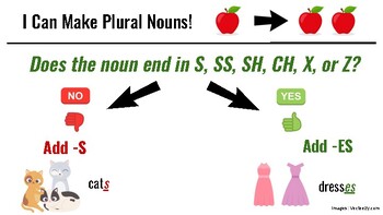 Preview of Regular Plural Noun Visual Support (English and Spanish)